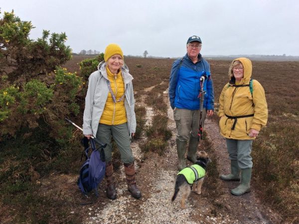 Heathland at Whitemoor
